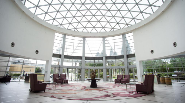 Hoteles Ofertas Dynamic Tours